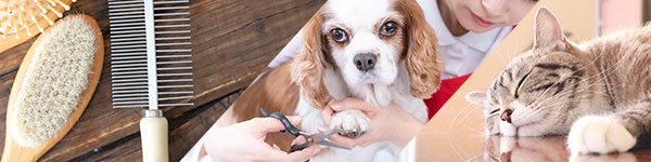 トリミング&ホテル