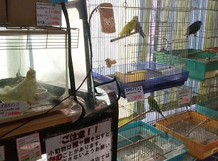 かわいい仲間がいっぱい♪