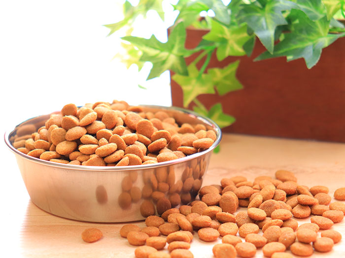 ごはんについて